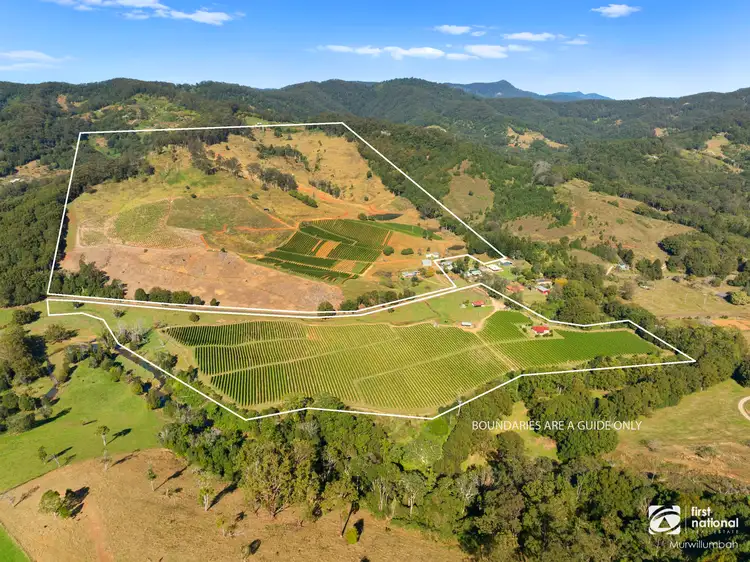 Fourth view of Homely rural property listing, 517 Upper Burringbar, Upper Burringbar NSW 2483