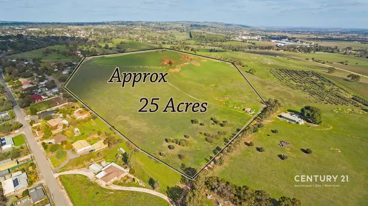 378 Richard Street, Penrice SA 5353