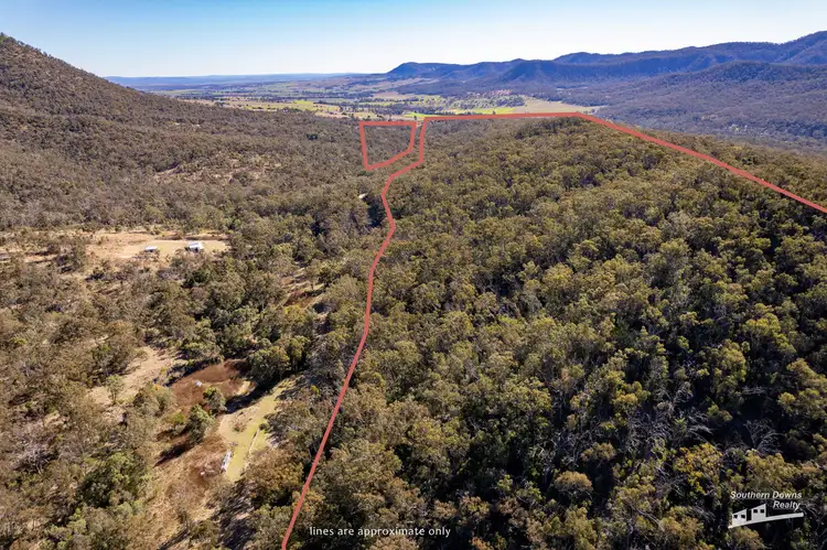 167 Dollar Bill Drive, Swanfels QLD 4371