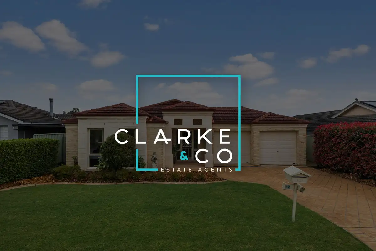 Main view of Homely house listing, 12 Tristania Court, Thornton NSW 2322