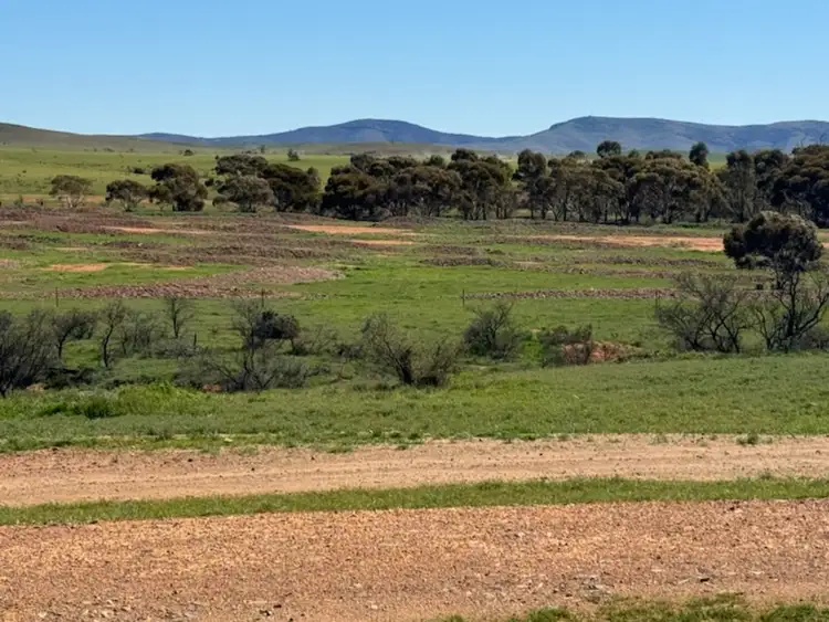Main view of Homely land listing, LOT 136, 2 Second Street, Carrieton SA 5432