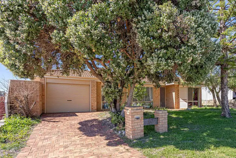 18 Kempton Grove, Clarkson WA 6030