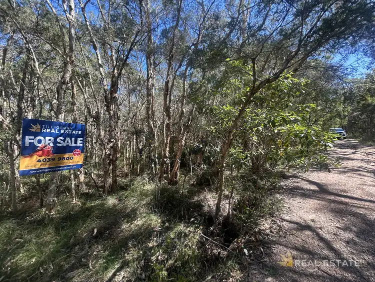 Lot 1251 Station Way, North Arm Cove NSW 2324