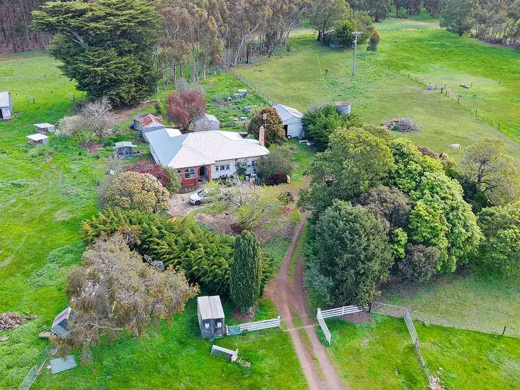 4541 Hamilton-Port Fairy Road, Macarthur VIC 3286