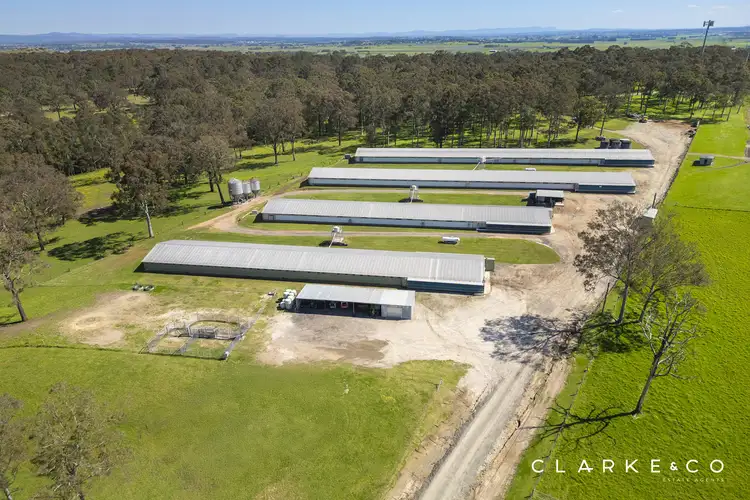 667 Seaham Road, Nelsons Plains NSW 2324