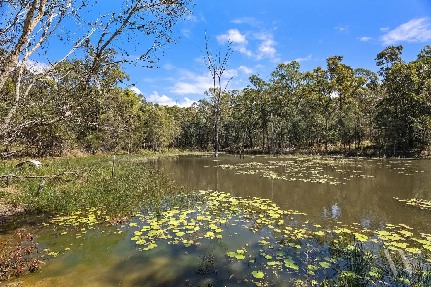 Main view of Homely house listing, 261 Counter Road, Wolvi QLD 4570