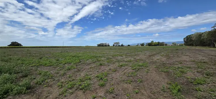 Fourth view of Homely land listing, Scovazzi's Road, Toobanna QLD 4850