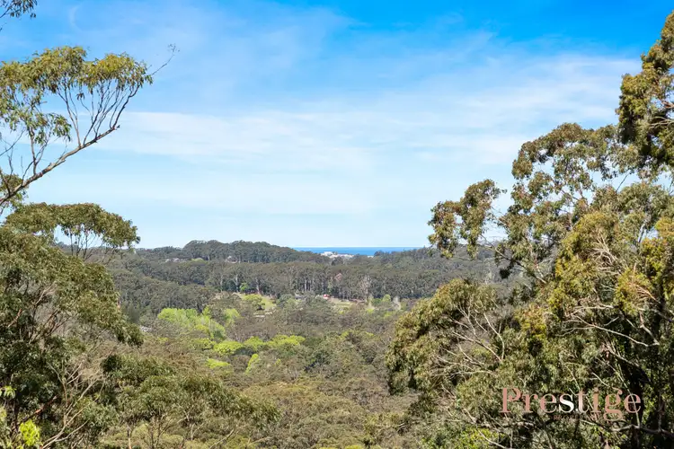 Sixth view of Homely rural property listing, 272 The Ridgeway, Holgate NSW 2250