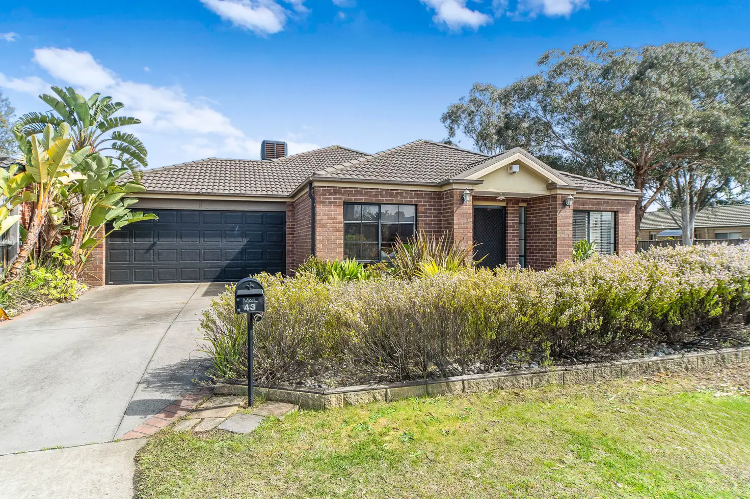 Main view of Homely house listing, 43 Balinga Drive, Skye VIC 3977