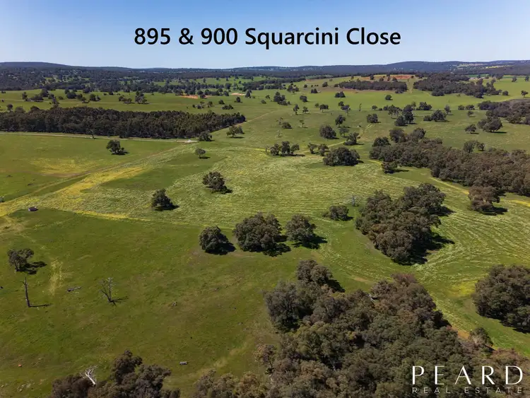 Main view of Homely land listing, 895 Squarcini Close, Bailup WA 6082