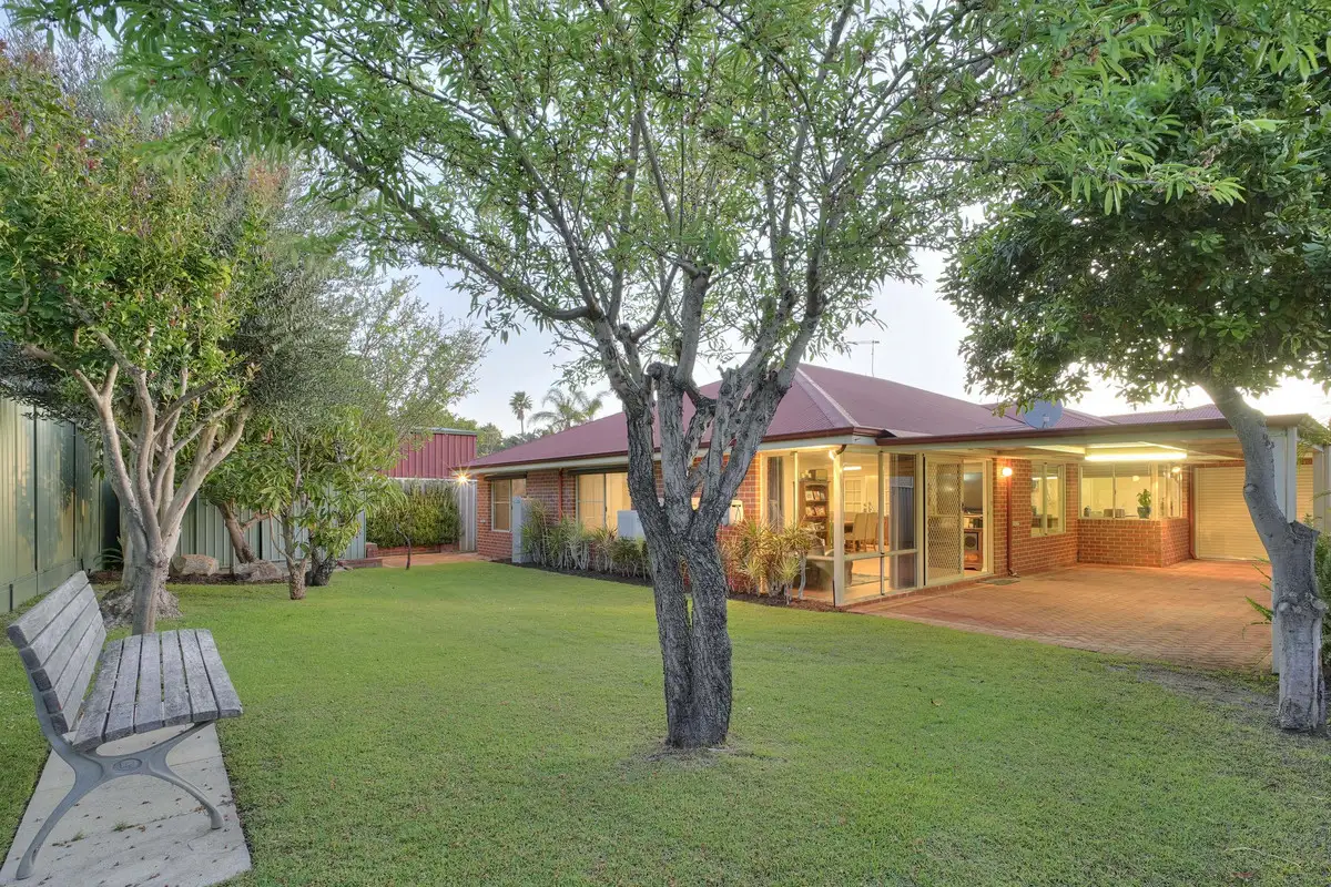 Main view of Homely house listing, 12 Manchester Drive, Hocking WA 6065
