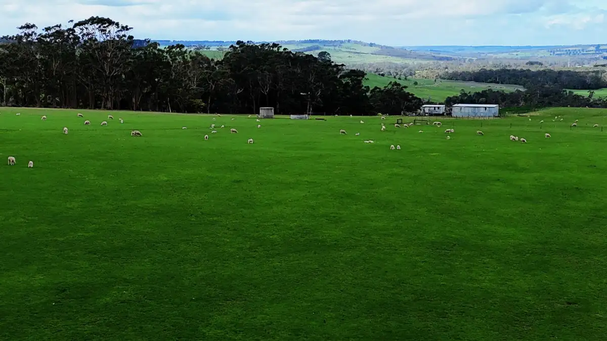 Main view of Homely rural property listing, Doreys Road, Scotts Creek VIC 3267