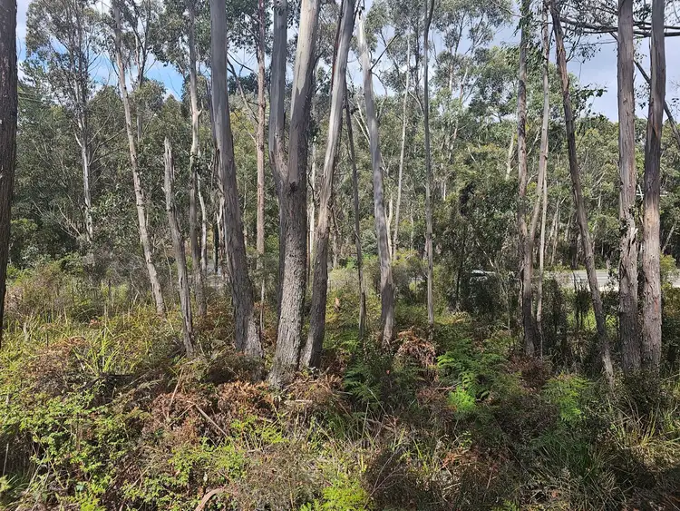 Fifth view of Homely land listing, Lot 1 Doodys Hill Road, Port Huon TAS 7116