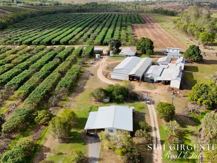 Second view of Homely rural property listing, 44 Carman Road, Paddys Green QLD 4880