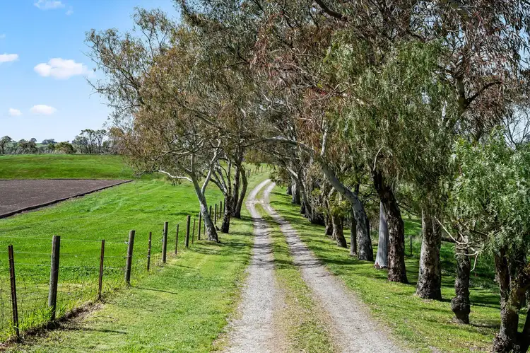 Second view of Homely rural property listing, 183 Blockers Road, Pewsey Vale SA 5351