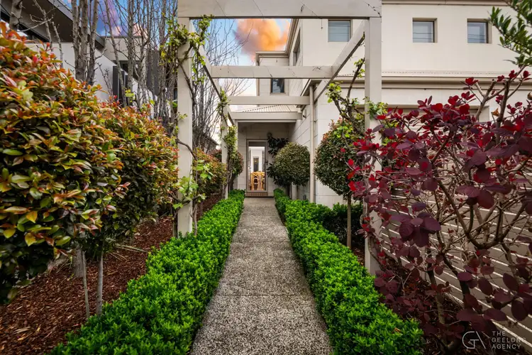 Second view of Homely townhouse listing, 446 Latrobe Terrace, Newtown VIC 3220
