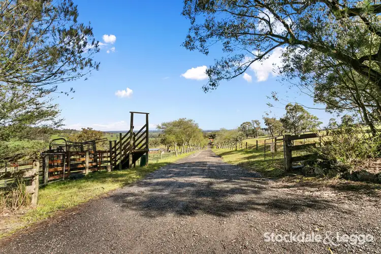 Fifth view of Homely rural property listing, 175 Early Road, Tanjil South VIC 3825