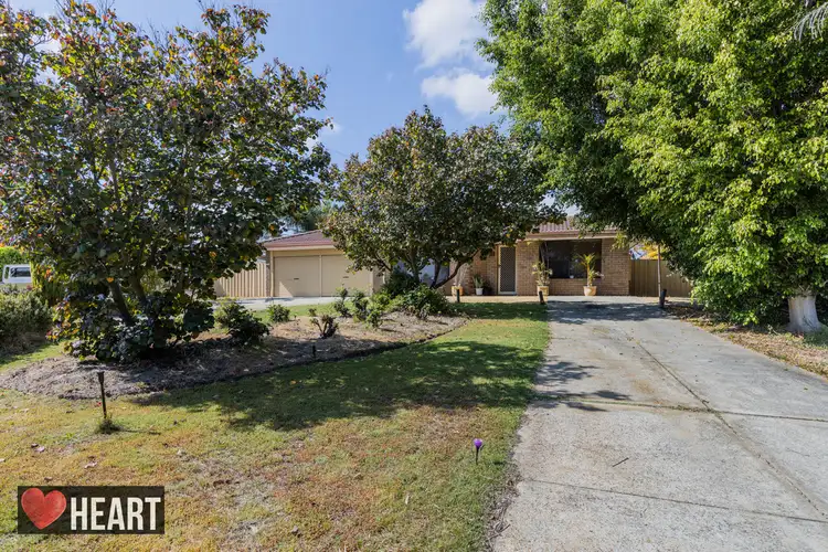 13 Thatched Court, Bibra Lake WA 6163