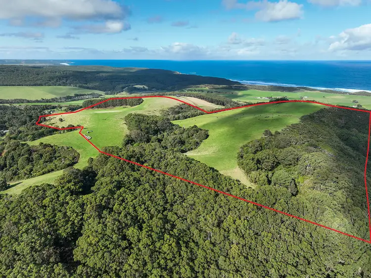105 Stafford Road, Johanna VIC 3238