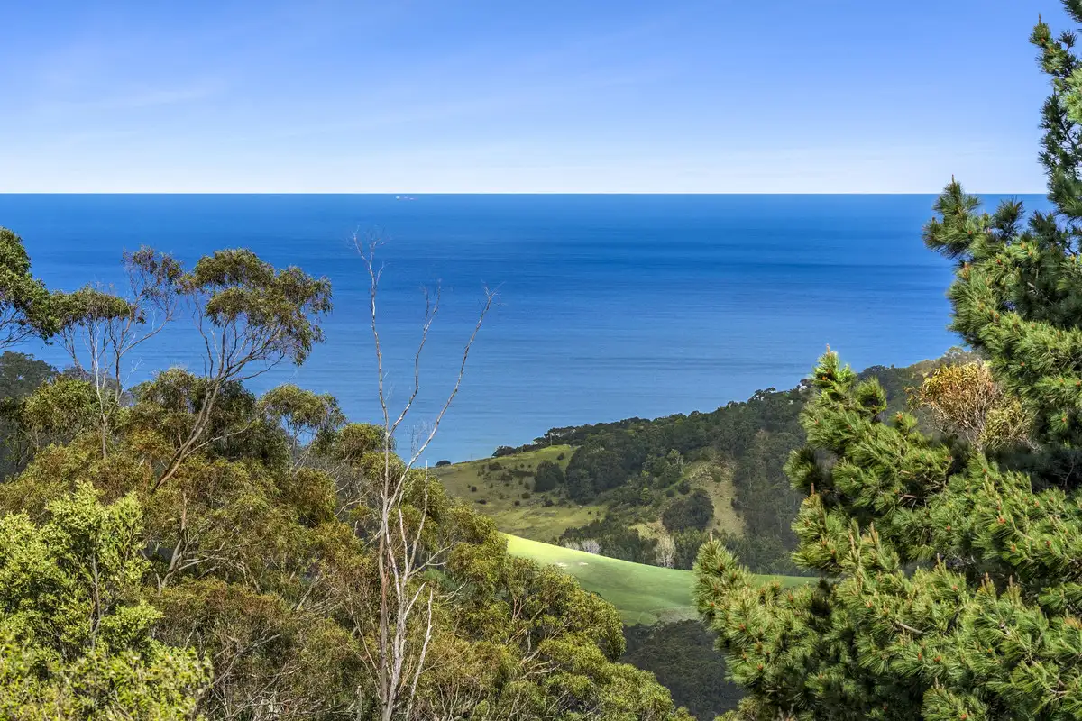 Main view of Homely rural property listing, 675 Skenes Creek Road, Skenes Creek North VIC 3233