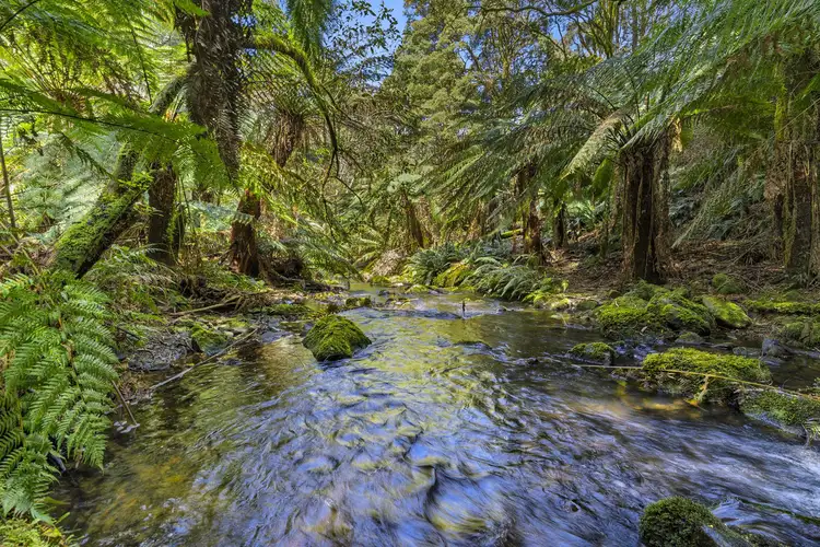 Third view of Homely rural property listing, 675 Skenes Creek Road, Skenes Creek North VIC 3233