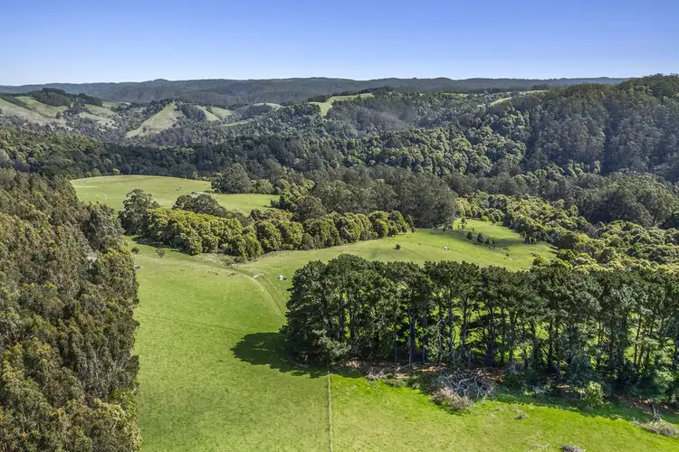 Fifth view of Homely rural property listing, 675 Skenes Creek Road, Skenes Creek North VIC 3233