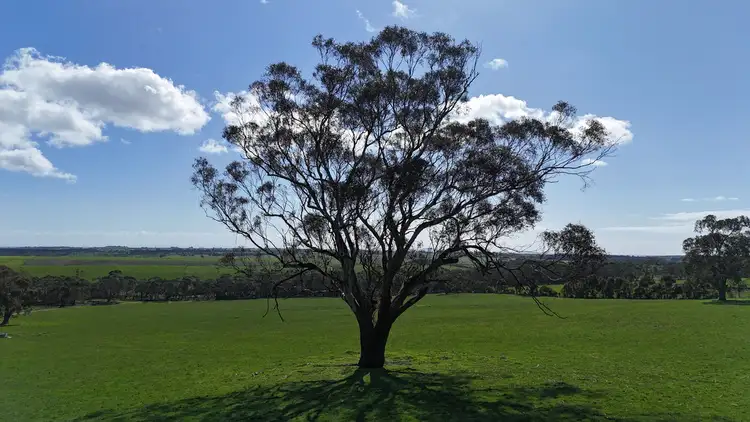 Third view of Homely rural property listing, 312 Yeo Yeodene Road, Yeo VIC 3249