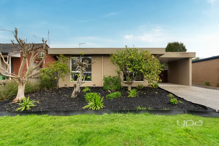 1/24 Palm Grove, Dromana VIC 3936