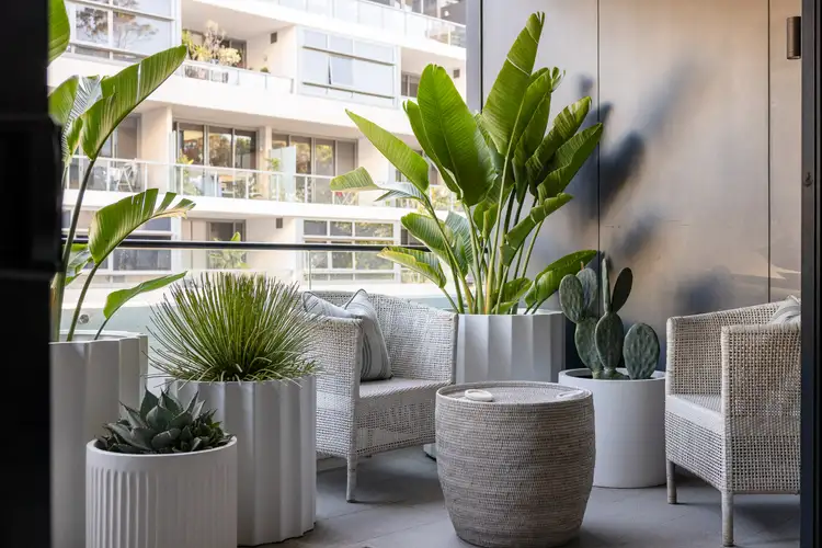 Second view of Homely apartment listing, 207/2 Thread Lane, Waterloo NSW 2017