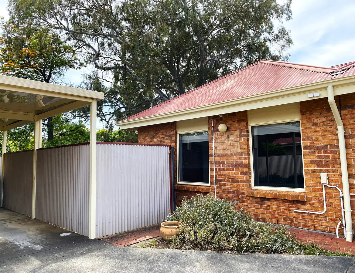Main view of Homely unit listing, 5/415 Marion Road, Plympton SA 5038