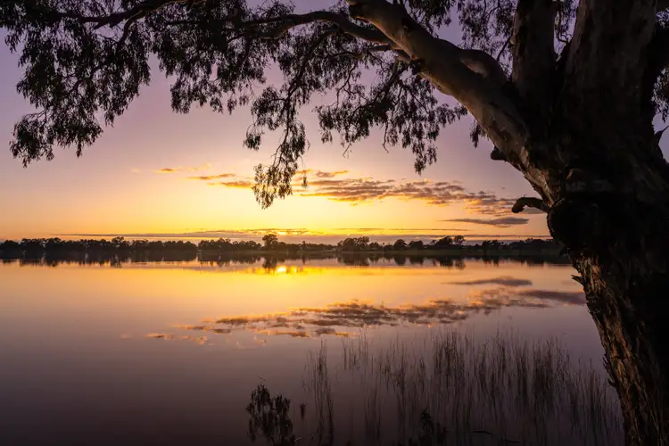 Seventh view of Homely land listing, LOT 236 Coachwood Drive, Lake Albert NSW 2650