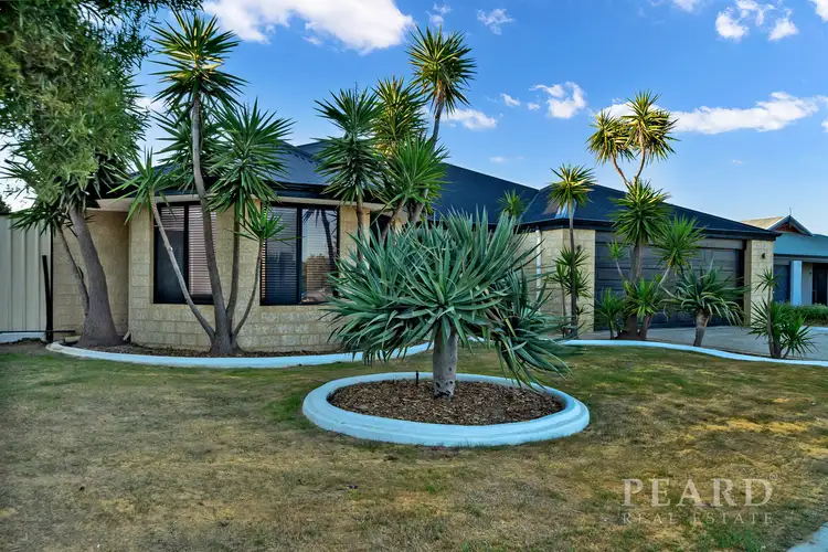 Sixth view of Homely house listing, 115 Homebush Drive, Butler WA 6036