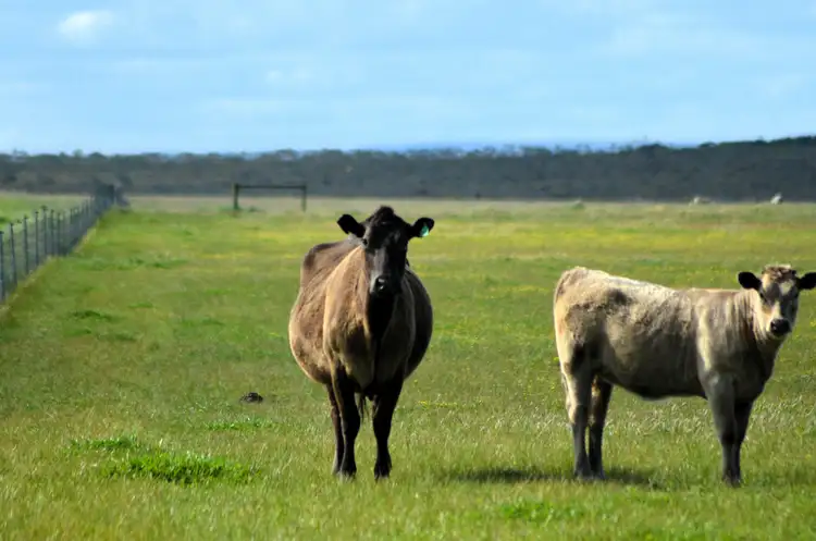 Sixth view of Homely rural property listing, Lot 1208 Borden-Bremer Bay Road, Bremer Bay WA 6338