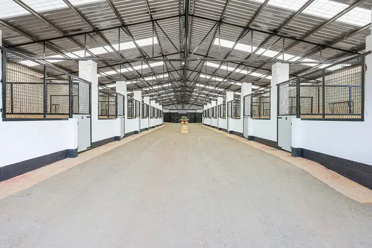 619 Bylong Valley Way, Sandy Hollow NSW 2333