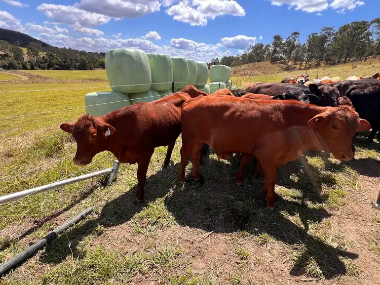 18 Calico Creek Road, Long Flat QLD 4570