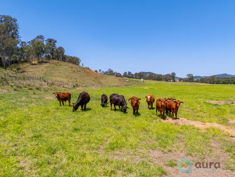 Third view of Homely land listing, 18 Calico Creek Road, Long Flat QLD 4570