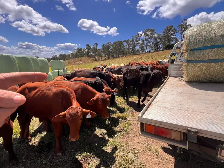 Fifth view of Homely land listing, 18 Calico Creek Road, Long Flat QLD 4570