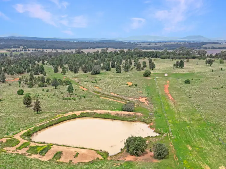 Third view of Homely rural property listing, 'Taryndoon' 481 Quia Station Road, Emerald Hill NSW 2380
