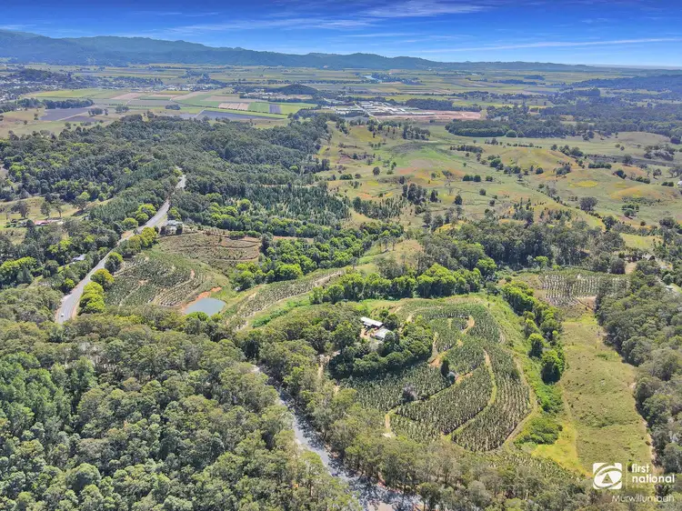 Second view of Homely rural property listing, 7272 Tweed Valley Way, Fernvale NSW 2484