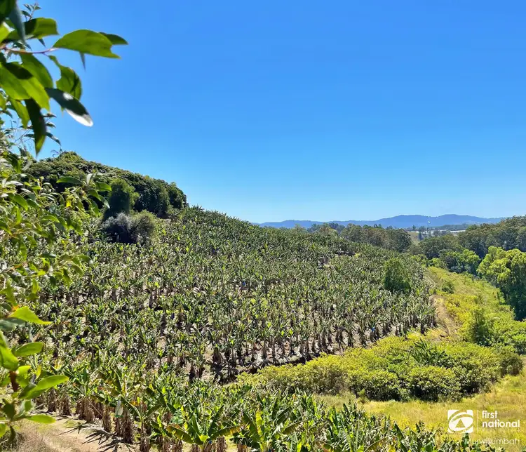 Fourth view of Homely rural property listing, 7272 Tweed Valley Way, Fernvale NSW 2484