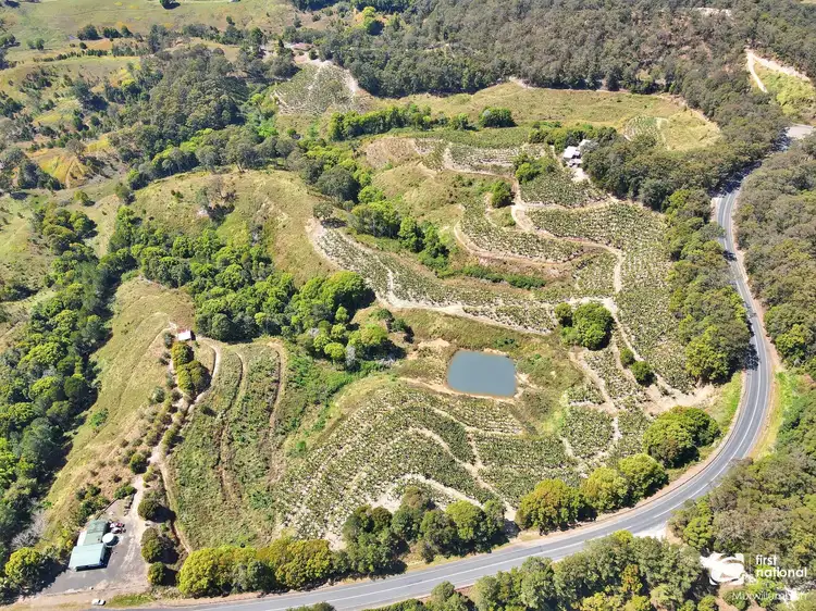 Fifth view of Homely rural property listing, 7272 Tweed Valley Way, Fernvale NSW 2484