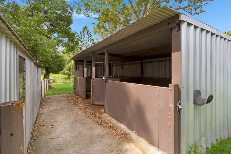 Second view of Homely house listing, 58 Coorabin Court, Tallebudgera QLD 4228