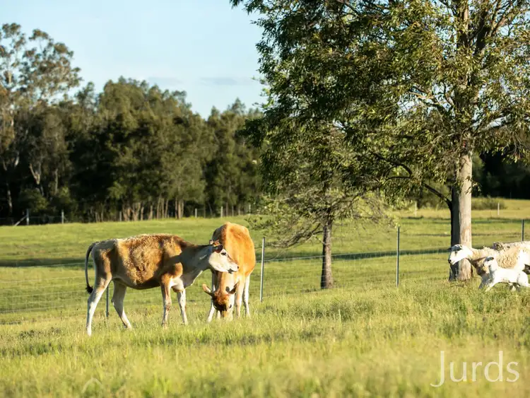 Fifth view of Homely rural property listing, 2C Nelson Street, Greta NSW 2334
