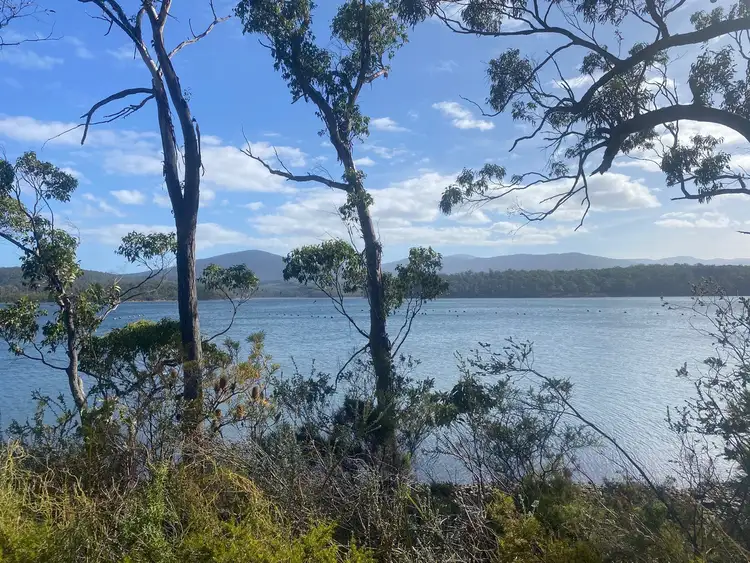 Fifth view of Homely land listing, LOT 1 Hastings Bay Esplanade, Hastings TAS 7109