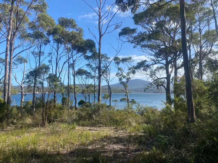Seventh view of Homely land listing, LOT 1 Hastings Bay Esplanade, Hastings TAS 7109