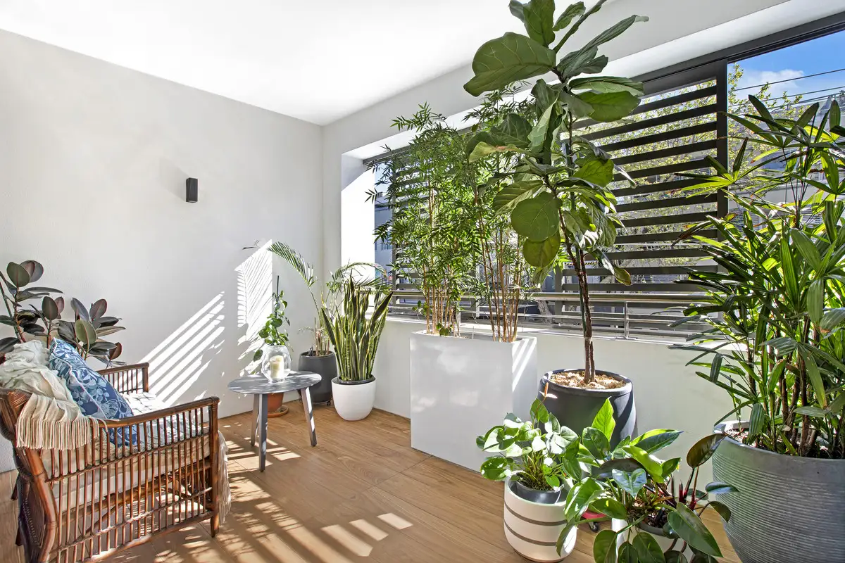 Main view of Homely apartment listing, 101/467 Miller Street, Cammeray NSW 2062