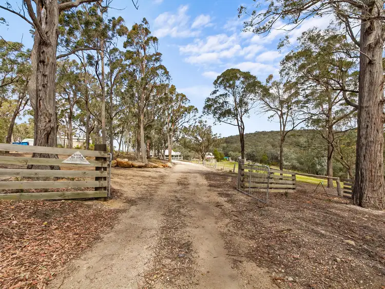 Second view of Homely rural property listing, 259 Millers Road, Maffra West Upper VIC 3859