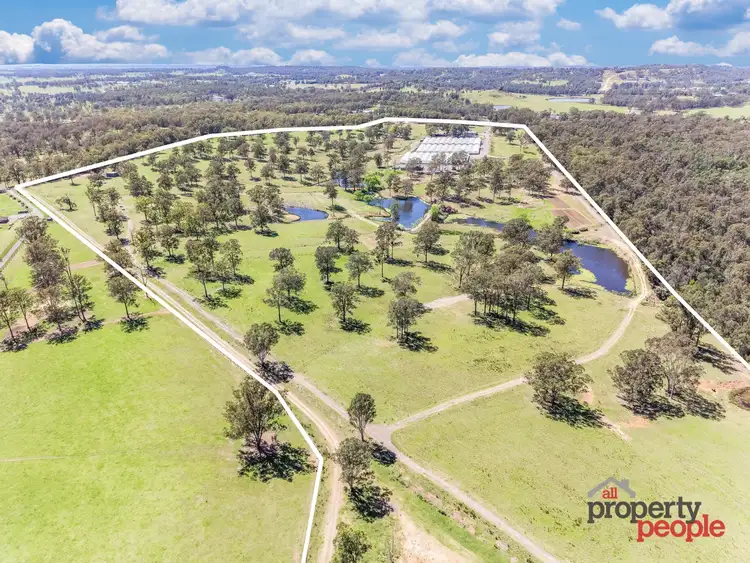 Fifth view of Homely rural property listing, 705 Cut Hill Road, Cobbitty NSW 2570