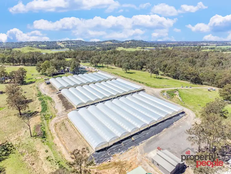 Seventh view of Homely rural property listing, 705 Cut Hill Road, Cobbitty NSW 2570