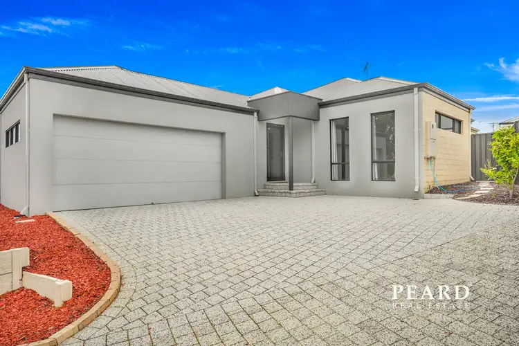Main view of Homely semi-detached listing, 313a Odin Drive, Balcatta WA 6021